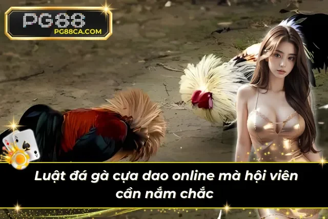 Thuộc lòng luật đá gà cựa dao tại nhà cái trực tuyến PG88