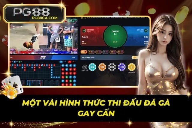 Các hình thức thi đấu nổi bật