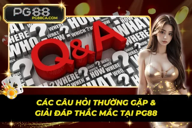 Các câu hỏi thường gặp và PG88 giải đáp mọi thắc mắc