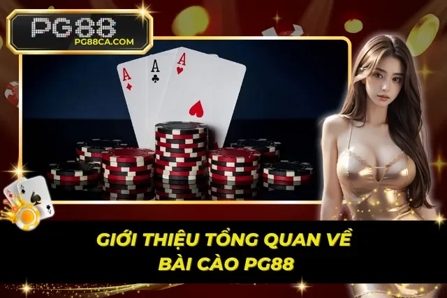 Tìm hiểu sơ lược về bài cào tại thương hiệu uy tín