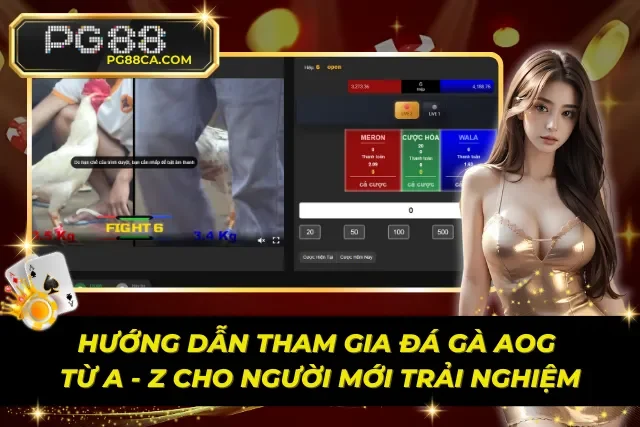 Cách chơi đá gà AOG PG88 chi tiết cho thành viên mới bắt đầu