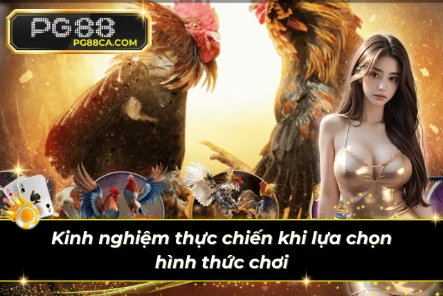 Chia sẻ bí quyết từ các cao thủ có thâm niên trong làng đấu