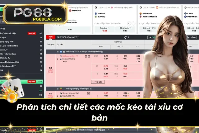 Bảng biến động tỷ lệ cược