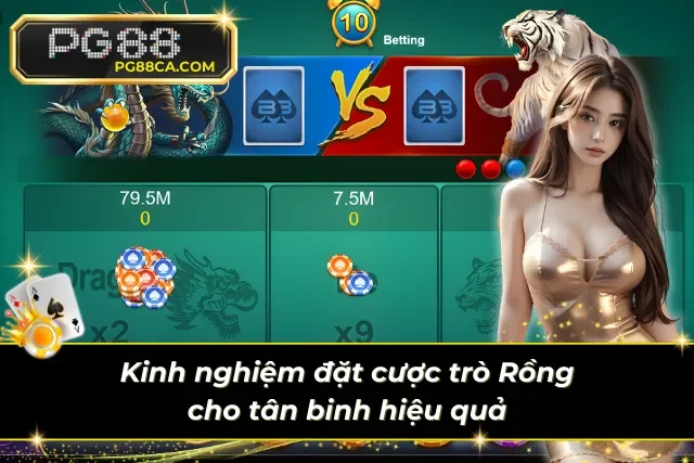 Học cách cược hiệu quả để trải nghiệm vừa vui vừa có kiểm soát