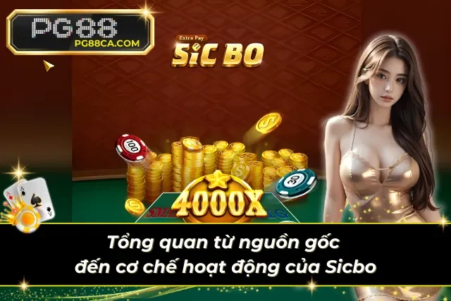 Hiểu rõ cơ chế để cược thông minh cùng tận hưởng từng phút